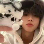 迷小龙的头像-创梦星际